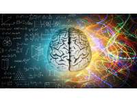 Тренинг для ума “Как улучшить нейронные связи и функции мозга?”